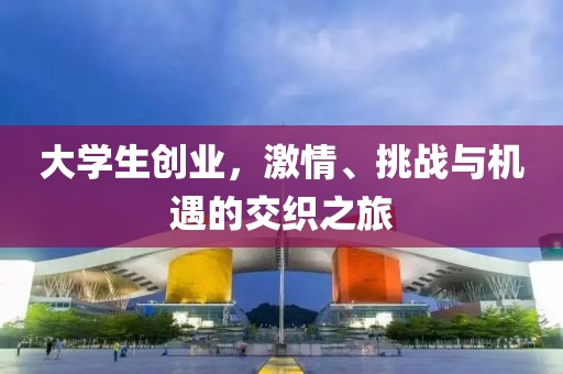 大学生创业，激情、挑战与机遇的交织之旅