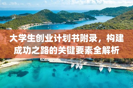 大学生创业计划书附录，构建成功之路的关键要素全解析