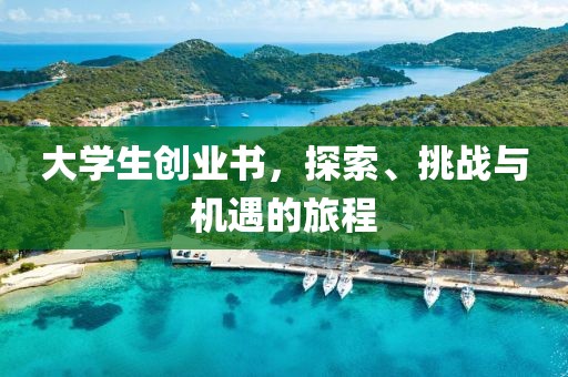 大学生创业书，探索、挑战与机遇的旅程