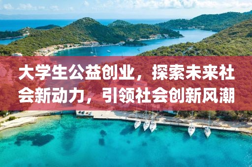 大学生公益创业，探索未来社会新动力，引领社会创新风潮