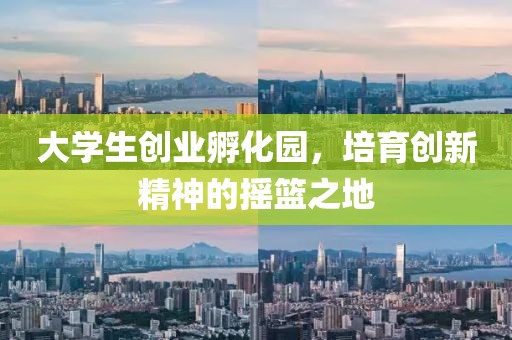 大学生创业孵化园，培育创新精神的摇篮之地