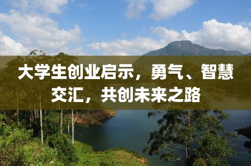 大学生创业启示，勇气、智慧交汇，共创未来之路