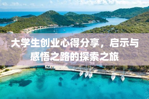 大学生创业心得分享，启示与感悟之路的探索之旅