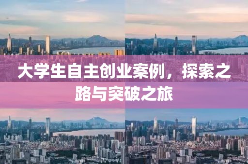 大学生自主创业案例，探索之路与突破之旅