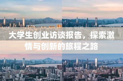 大学生创业访谈报告，探索激情与创新的旅程之路