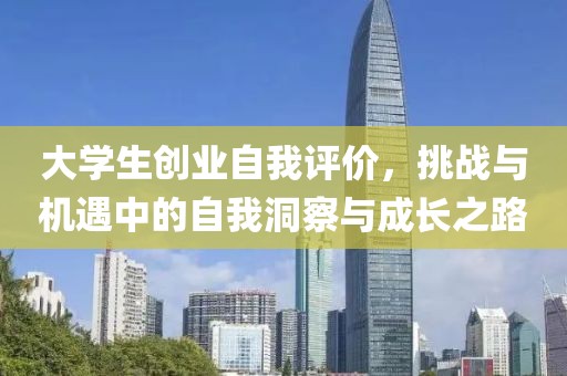 大学生创业自我评价，挑战与机遇中的自我洞察与成长之路