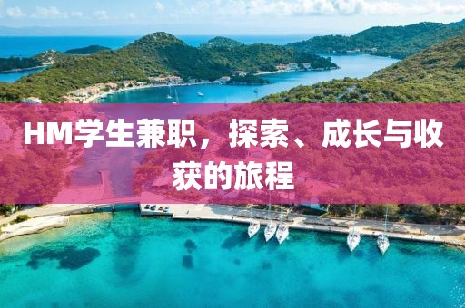 HM学生兼职，探索、成长与收获的旅程