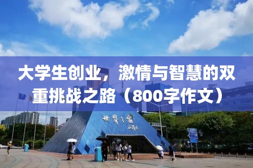 大学生创业，激情与智慧的双重挑战之路（800字作文）