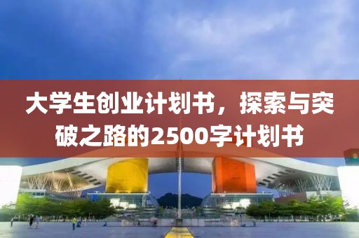 大学生创业计划书，探索与突破之路的2500字计划书