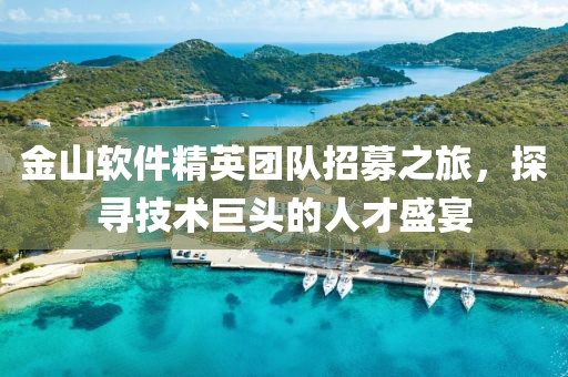 金山软件精英团队招募之旅，探寻技术巨头的人才盛宴