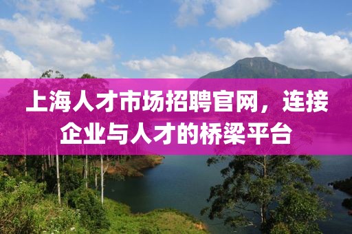 上海人才市场招聘官网，连接企业与人才的桥梁平台