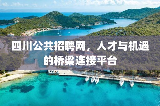 四川公共招聘网，人才与机遇的桥梁连接平台