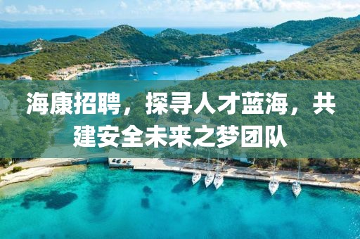 海康招聘，探寻人才蓝海，共建安全未来之梦团队