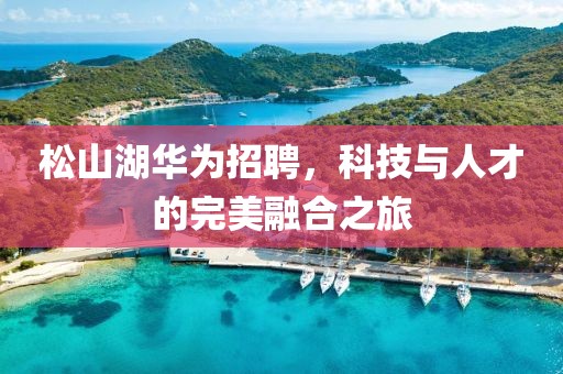 松山湖华为招聘，科技与人才的完美融合之旅