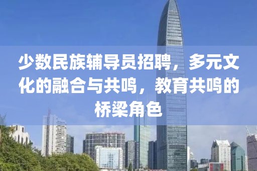 少数民族辅导员招聘，多元文化的融合与共鸣，教育共鸣的桥梁角色