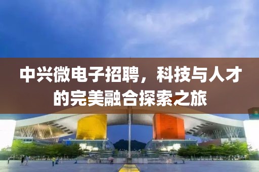 中兴微电子招聘，科技与人才的完美融合探索之旅