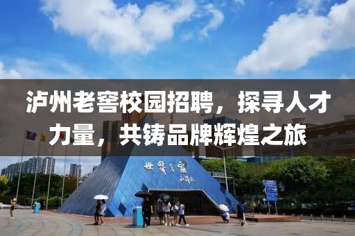 泸州老窖校园招聘，探寻人才力量，共铸品牌辉煌之旅