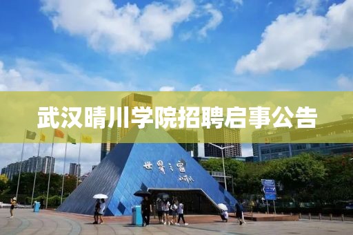 武汉晴川学院招聘启事公告