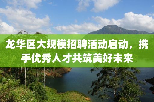 龙华区大规模招聘活动启动，携手优秀人才共筑美好未来