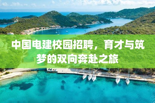 中国电建校园招聘，育才与筑梦的双向奔赴之旅