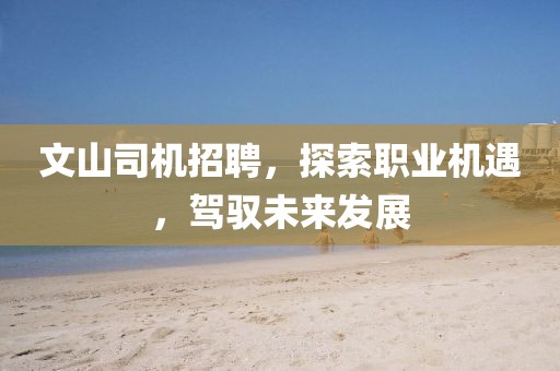 文山司机招聘，探索职业机遇，驾驭未来发展