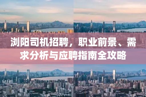 浏阳司机招聘，职业前景、需求分析与应聘指南全攻略