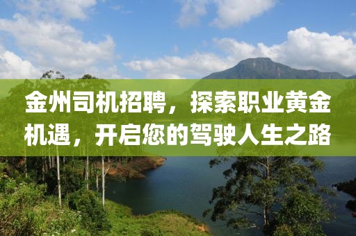 金州司机招聘，探索职业黄金机遇，开启您的驾驶人生之路