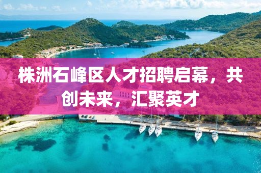 株洲石峰区人才招聘启幕，共创未来，汇聚英才