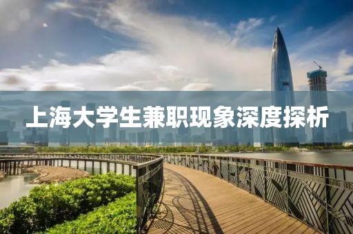 上海大学生兼职现象深度探析