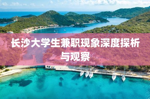 长沙大学生兼职现象深度探析与观察