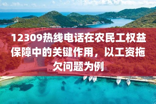 12309热线电话在农民工权益保障中的关键作用，以工资拖欠问题为例