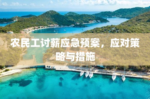 农民工讨薪应急预案，应对策略与措施