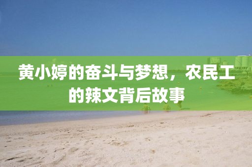 黄小婷的奋斗与梦想，农民工的辣文背后故事