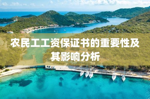 农民工工资保证书的重要性及其影响分析