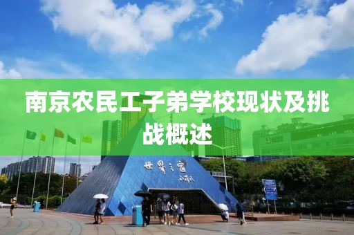 南京农民工子弟学校现状及挑战概述