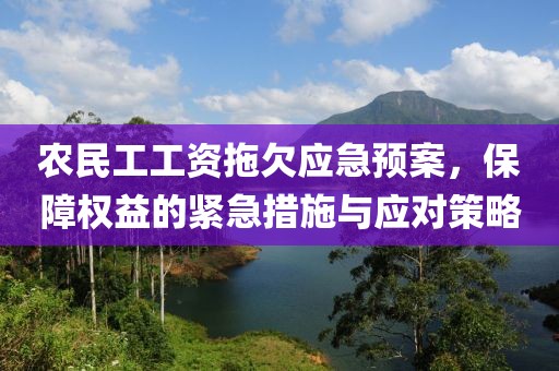 农民工工资拖欠应急预案，保障权益的紧急措施与应对策略