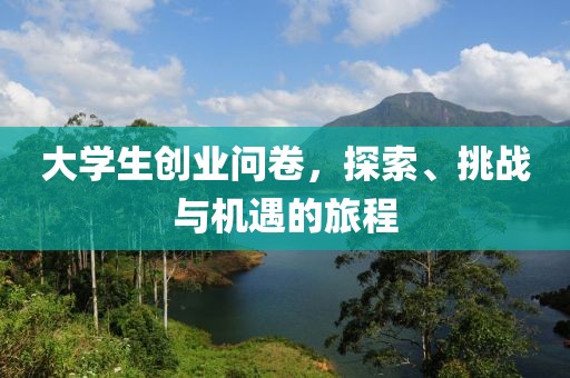 大学生创业问卷，探索、挑战与机遇的旅程